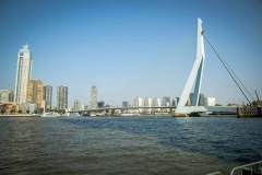 Foto van Erasmusbrug in Rotterdam